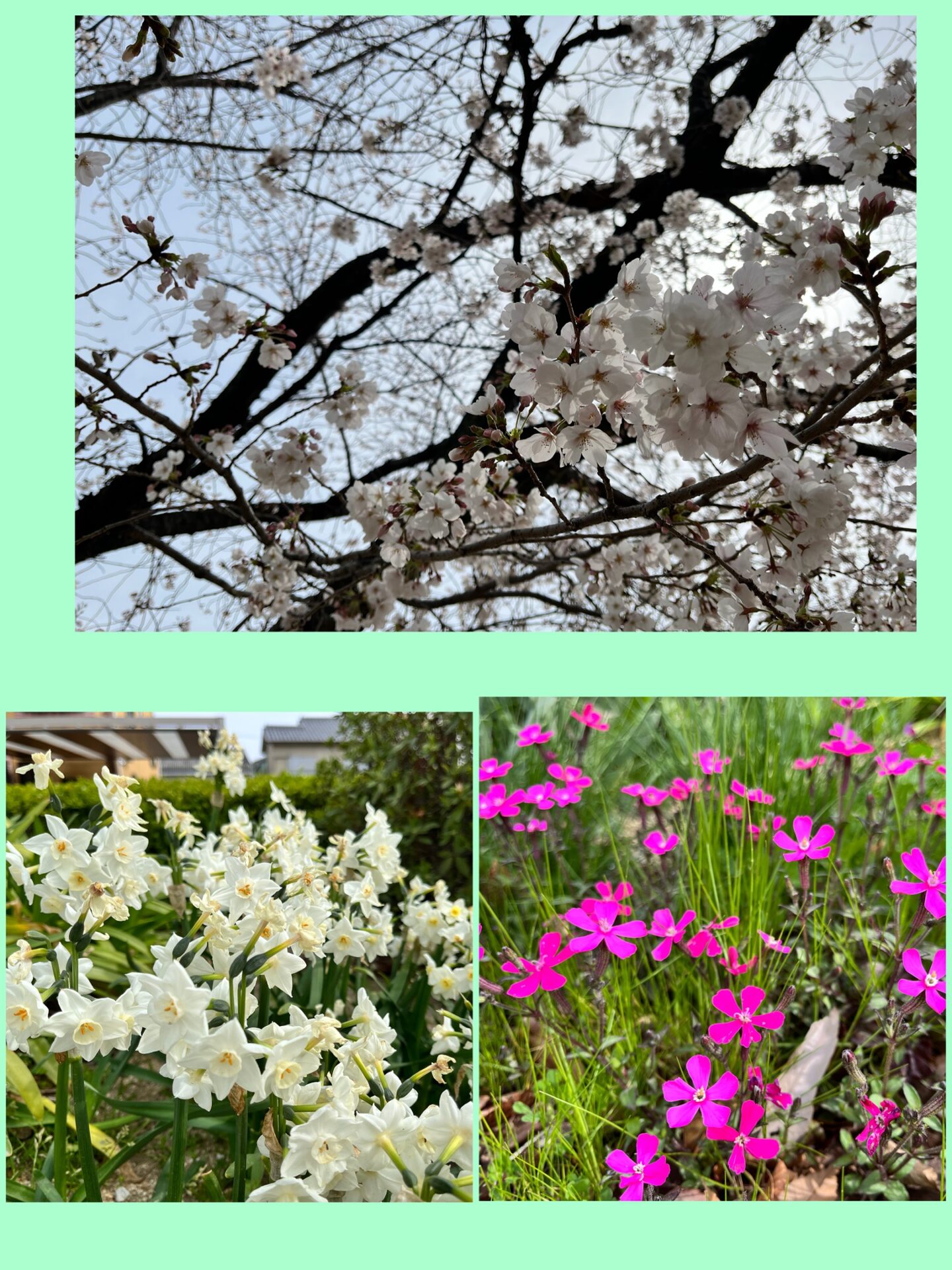 春休みのおはなし