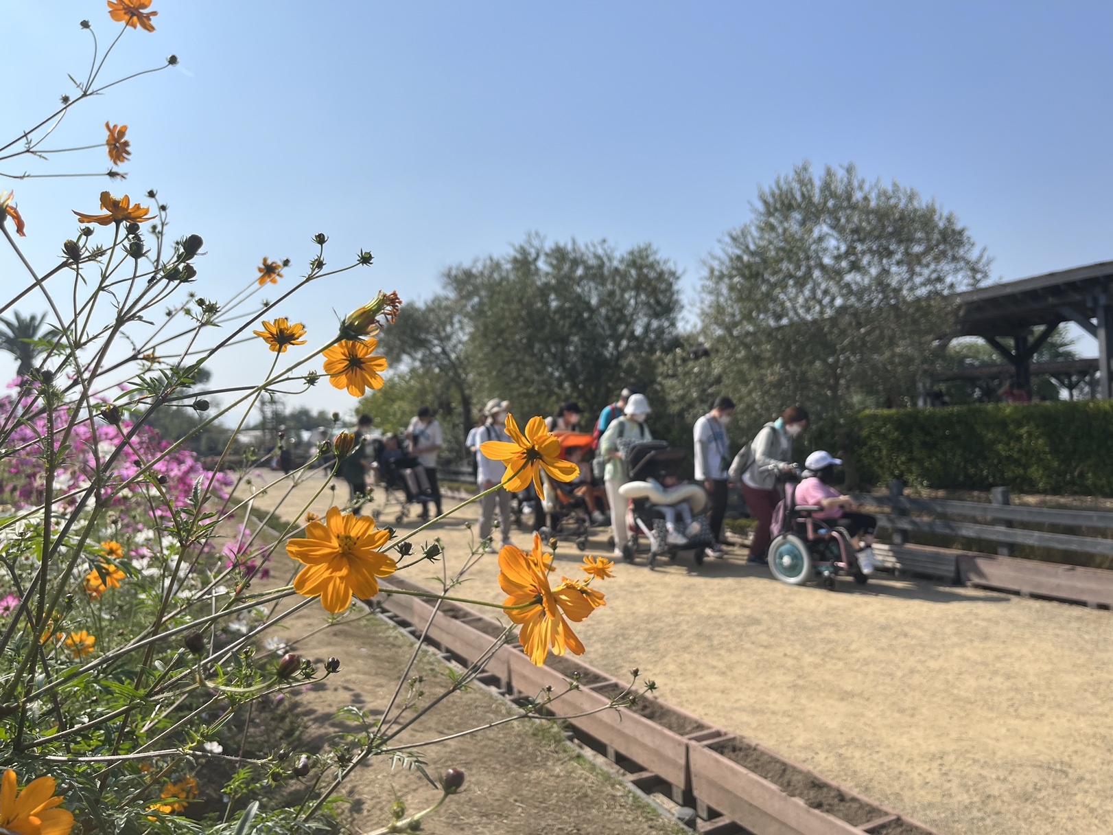 お出かけ（リサイクル公園）